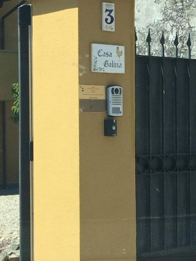 Casa Galina Villa Ciggiano Exteriör bild